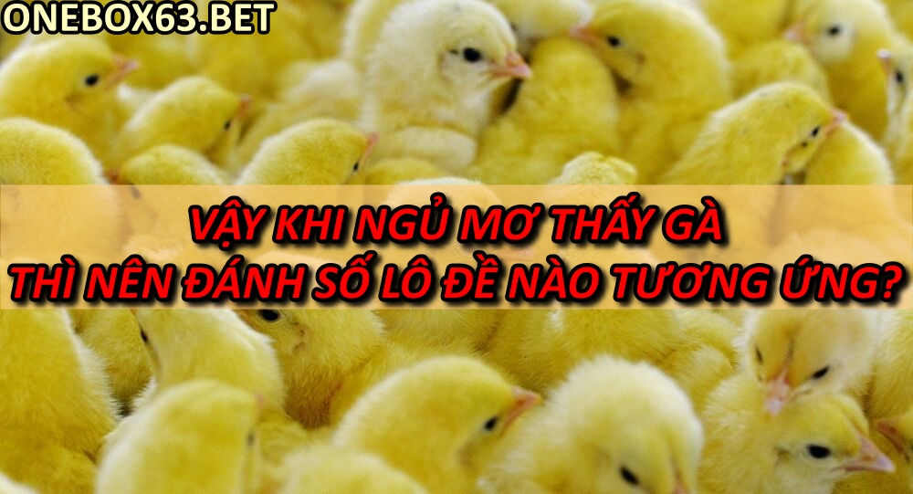 mơ thấy gà đánh số lô đề nào tương ứng