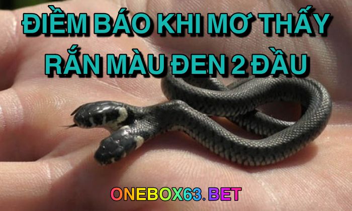 Điềm báo khi mơ thấy rắn màu đen 2 đầu