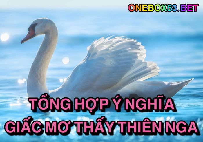 Tổng hợp ý nghĩa giấc mơ thấy thiên nga