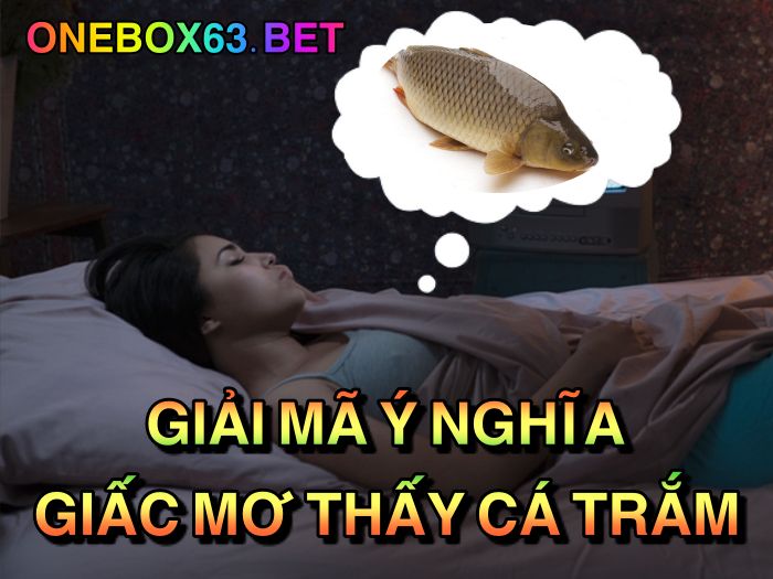 Giải mã ý nghĩa giấc mơ thấy cá trắm