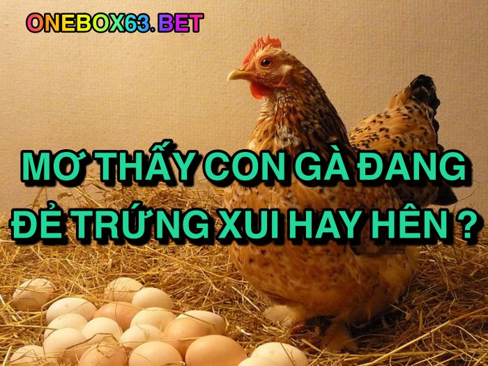 Mơ thấy con gà đang đẻ trứng xui hay hên?