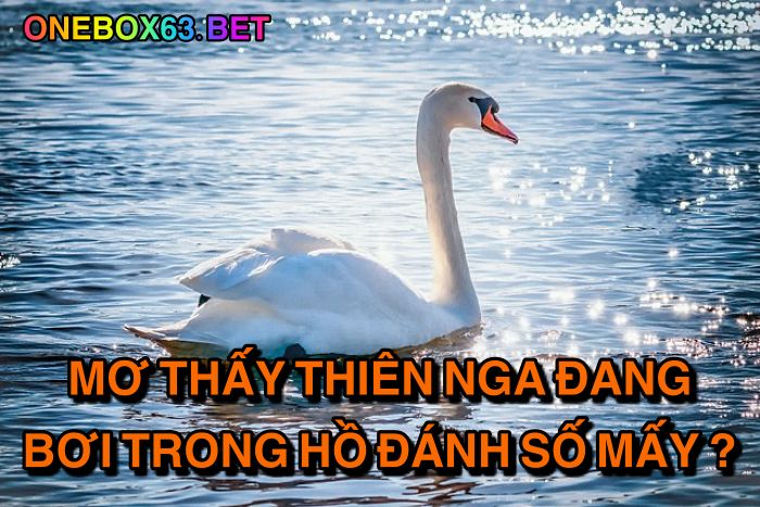 Mơ thấy thiên nga đang bơi trong hồ đánh số mấy?