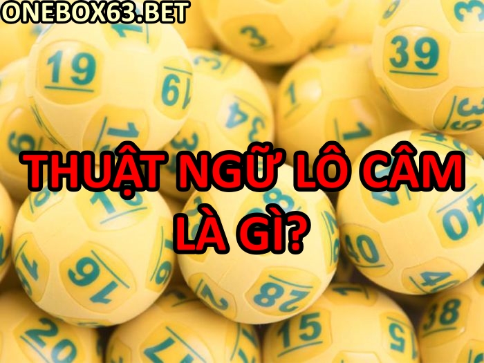 Thuật ngữ Lô Câm Là Gì?