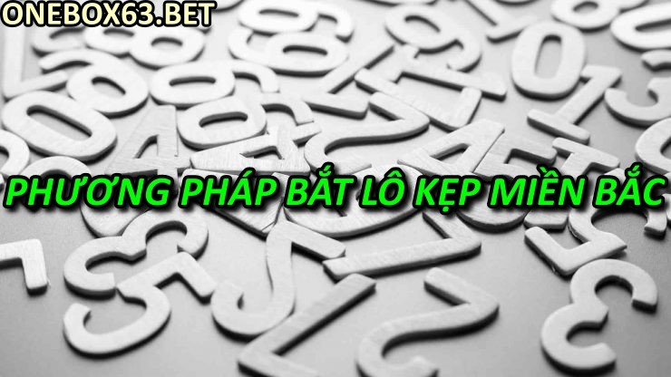 Phương pháp bắt lô kẹp miền Bắc