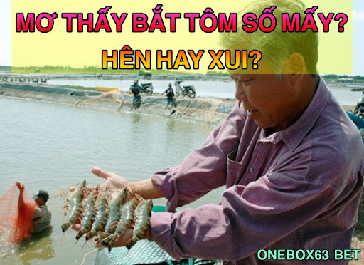 Mơ thấy bắt tôm