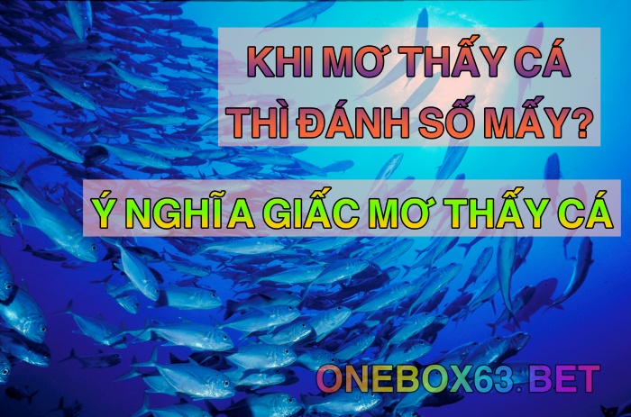 Nên đánh số mấy để trúng đậm khi mơ thấy cá?