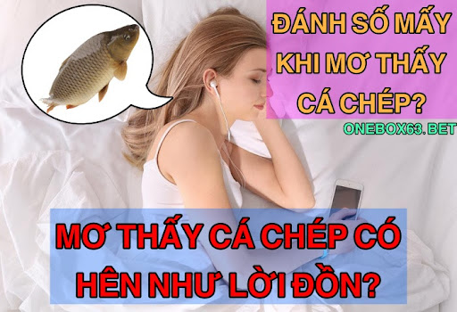 Ý nghĩa điềm báo giấc mơ thấy cá chép là gì?