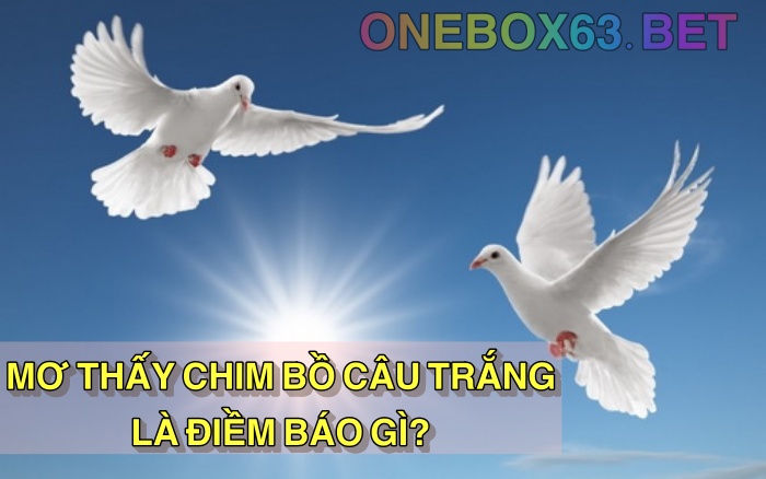 Mơ thấy chim bồ câu trắng hên hay xui?