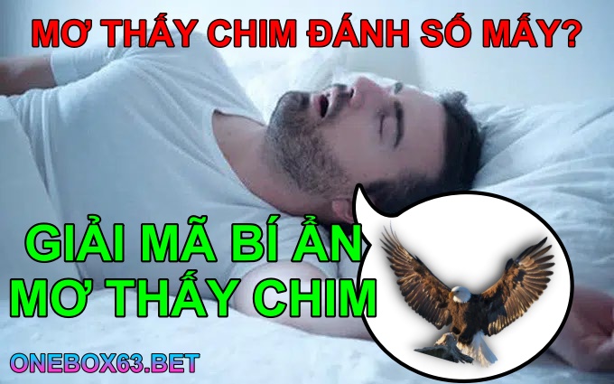 Mơ thấy chim đánh số bao nhiêu?