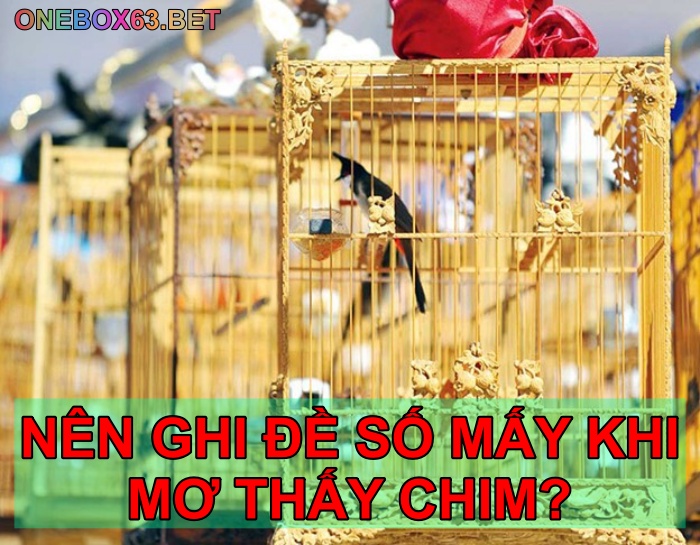 Mơ thấy nuôi chim hên hay xui?