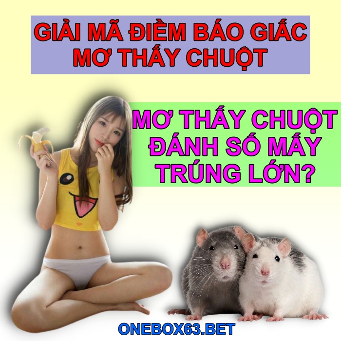 Mơ thấy có chuột trong nhà hên hay xui?