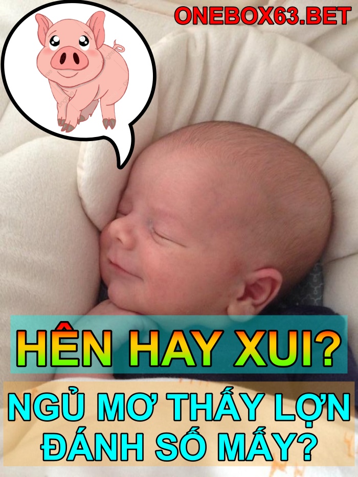 Mơ thấy heo, lợn đánh số bao nhiêu?