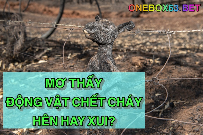 Điềm báo khi mơ thấy động vật chết cháy