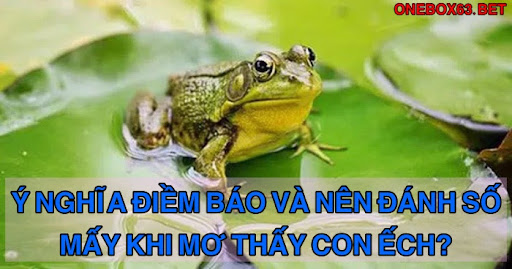 Mơ thấy ếch số bao nhiêu?