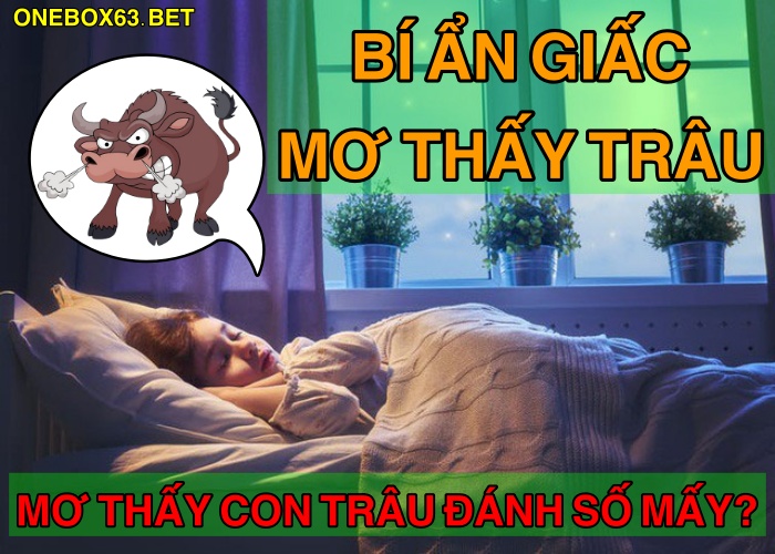 Mơ thấy trâu số mấy?