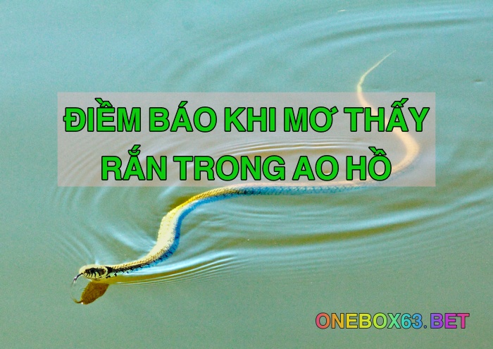 Nằm mơ thấy rắn trong ao hồ là điềm hên hay xui?