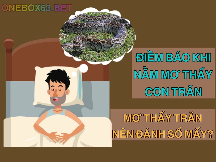 Nên đánh con mấy khi mơ thấy con trăn?